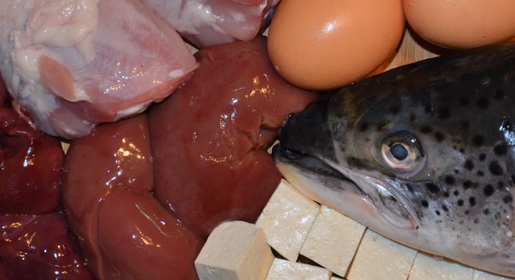 Vitamin B12 Fact Sheet Vitamin B12